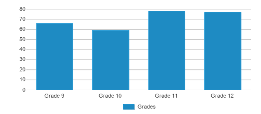 This chart displays the students of White Cloud High School by grade. This chart displays the students of White Cloud High School by grade.