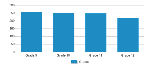 This chart displays the students of Princeton High School by grade. This chart displays the students of Princeton High School by grade.