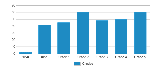 This chart displays the students of Warren School by grade. This chart displays the students of Warren School by grade.