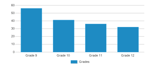 This chart displays the students of Harlem High School by grade. This chart displays the students of Harlem High School by grade.