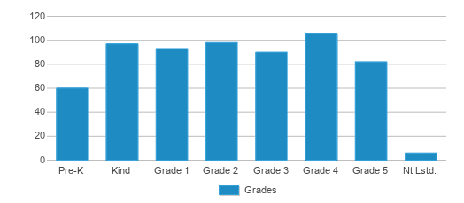 This chart displays the students of Lowville Elementary School by grade. This chart displays the students of Lowville Elementary School by grade.