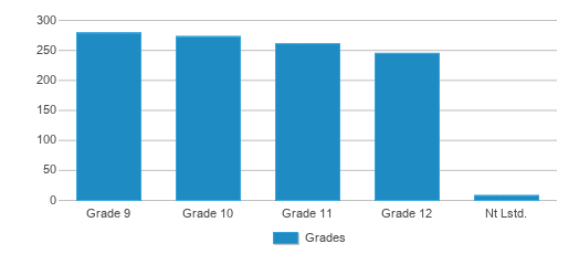 This chart displays the students of Roslyn High School by grade. This chart displays the students of Roslyn High School by grade.