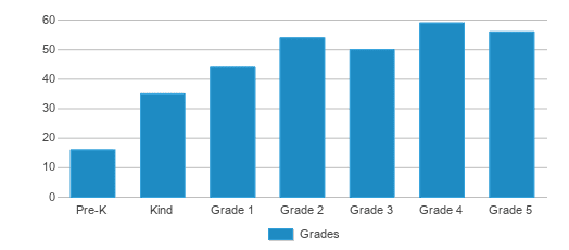 This chart displays the students of Petrova Elementary School by grade. This chart displays the students of Petrova Elementary School by grade.