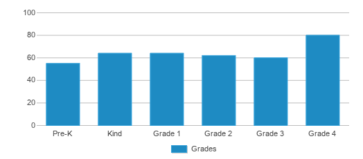 This chart displays the students of Southampton Elementary School by grade. This chart displays the students of Southampton Elementary School by grade.