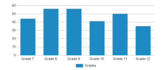 This chart displays the students of Southern Cayuga 7-12 Secondary School by grade. This chart displays the students of Southern Cayuga 7-12 Secondary School by grade.
