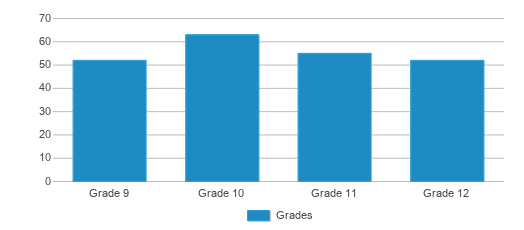 This chart displays the students of Andrews High School by grade. This chart displays the students of Andrews High School by grade.