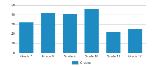 This chart displays the students of Bristol High School by grade. This chart displays the students of Bristol High School by grade.