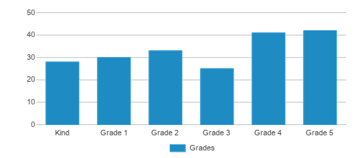 This chart displays the students of Los Robles Academy by grade. This chart displays the students of Los Robles Academy by grade.