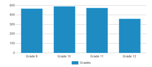 This chart displays the students of Skyview High School by grade. This chart displays the students of Skyview High School by grade.