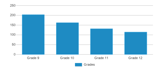This chart displays the students of Pikeview High School by grade. This chart displays the students of Pikeview High School by grade.