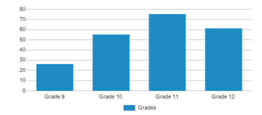 This chart displays the students of Grandview High School by grade. This chart displays the students of Grandview High School by grade.