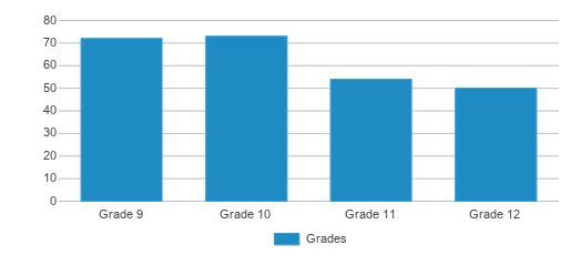 This chart displays the students of Millenium Quest Science Academy At Manual by grade. This chart displays the students of Millenium Quest Science Academy At Manual by grade.