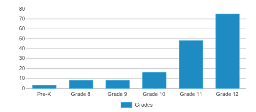 This chart displays the students of South County Career Center by grade. This chart displays the students of South County Career Center by grade.