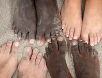 Mississippi Sets Precedence: First State to Mandate Civil Rights Lessons for K-12 Mississippi Sets Precedence: First State to Mandate Civil Rights Lessons for K-12