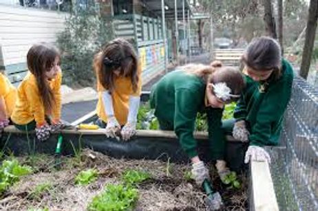 Public School Gardens: Good for Learning or a Waste of Time? Public School Gardens: Good for Learning or a Waste of Time?
