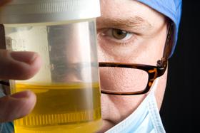 Drug Testing Teachers: Testing Positive or Negative?