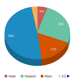 IL All Ethnic Groups Ethnicity Breakdown