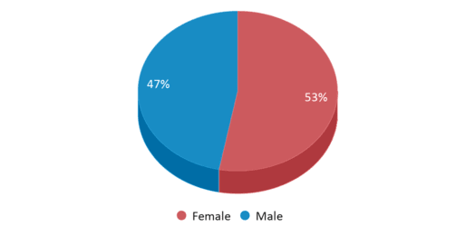 This chart displays gender of Western Center Academy