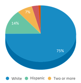 This chart displays the percentage breakdown of students of all ethnic groups in Paramount Elementary School.