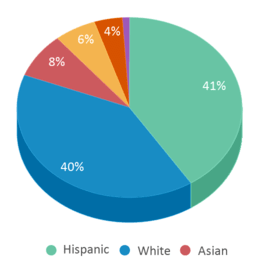 This chart displays the percentage breakdown of students of all ethnic groups in Western Center Academy.