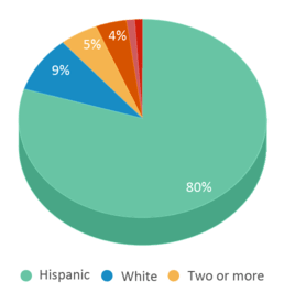 This chart displays the percentage breakdown of students of all ethnic groups in Orange County Workforce Innovation High School.