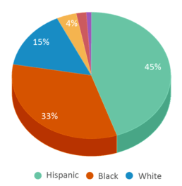 This chart displays the percentage breakdown of students of all ethnic groups in Windy Hill Elementary School.