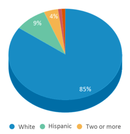 This chart displays the percentage breakdown of students of all ethnic groups in Eagle Middle School.