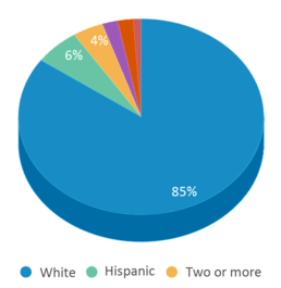 This chart displays the percentage breakdown of students of all ethnic groups in Moscow Middle School.