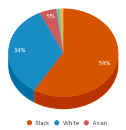 This chart displays the percentage breakdown of students of all ethnic groups in Lovett Elementary School.