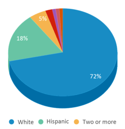 This chart displays the percentage breakdown of students of all ethnic groups in South Hills Middle School.