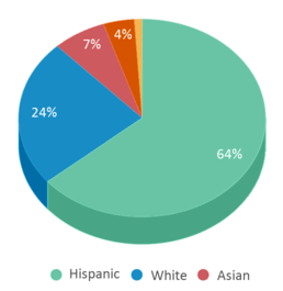 This chart displays the percentage breakdown of students of all ethnic groups in Cypress Bay High School.