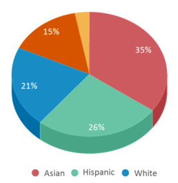 This chart displays the percentage breakdown of students of all ethnic groups <a href=