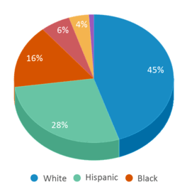 This chart displays the percentage breakdown of public school students of all ethnic groups in Illinois.