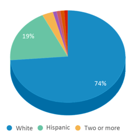 This chart displays the percentage breakdown of public school students of all ethnic groups in Idaho.