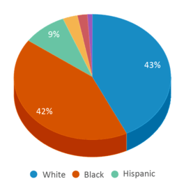 This chart displays the percentage breakdown of public school <a href=