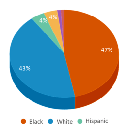 This chart displays the percentage breakdown of public school students of all ethnic groups in Mississippi.