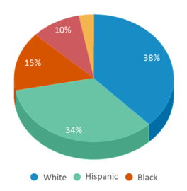 This chart displays the percentage breakdown of public school students of all ethnic groups in New Jersey.