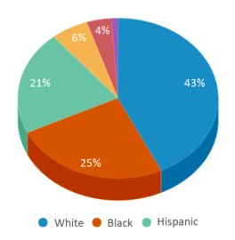 This chart displays the percentage breakdown of public school students of all ethnic groups in North Carolina.