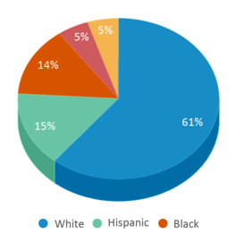 This chart displays the percentage breakdown of public school students of all ethnic groups in Pennsylvania.