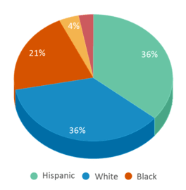 This chart displays the percentage breakdown of public school students of all ethnic groups in Florida.