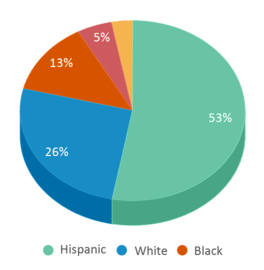 This chart displays the percentage breakdown of public school students of all ethnic groups in Texas.