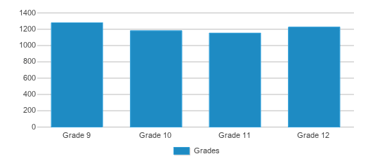 This chart displays the students of Cypress Bay High School by grade.