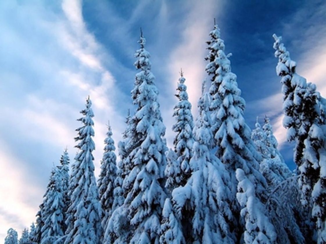 Douglas Elementary School Profile (2021) Douglas, AL