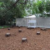 Suncoast School For Innovative Studies Photo #1 - This is one of the many outdoor spaces available for learning. Students are encouraged to embrace their naturalistic intelligence as they learn in this outdoor classroom.