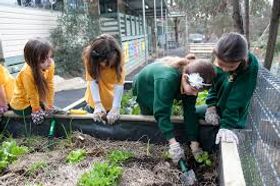 Public School Gardens: Good for Learning or a Waste of Time?