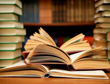 Secrets of Spelling Bee Champs